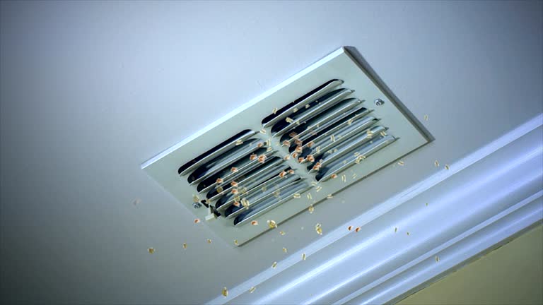 Affordable HVAC Duct Cleaning in OR